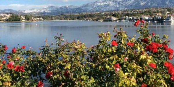 Mission Viejo Google Ads Management